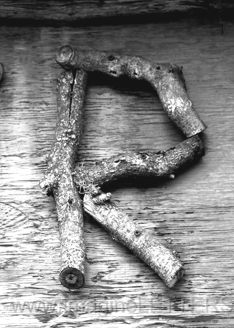 Wall_Art_Alphabet_Photography_Art_ 1917.jpg
